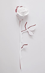 A rose pop-up design featured in the Floral Enchantment collection