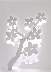 Sakura flowers pop-up artwork from the Floral Enchantment book