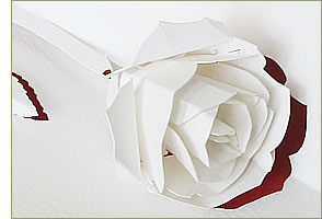 Illustration of a Pop-up Rose from the Floral Enchantment Book